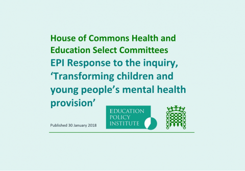EPI response to Joint Committee inquiry on mental health provision for young people