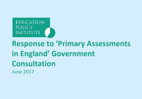 EPI Submission to Primary Assessment Consultation