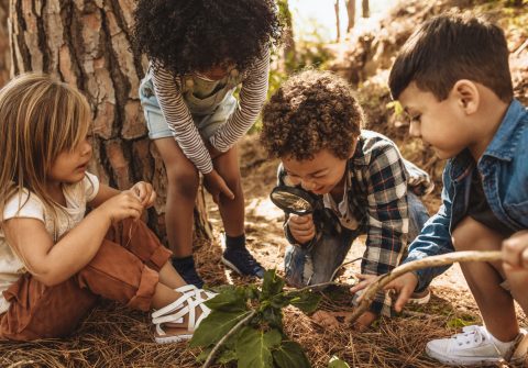 Climate and education: strategies for adaptation, learning and play