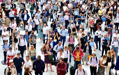 What you learn and what you earn: educational choices and labour market outcomes