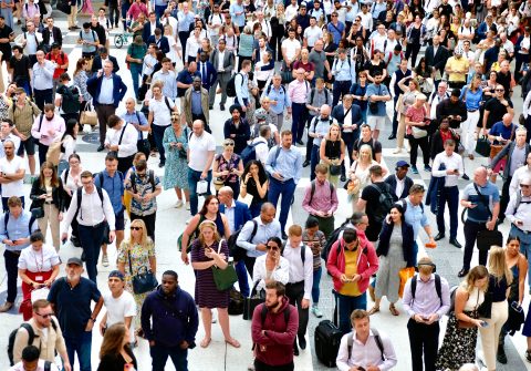 What you learn and what you earn: educational choices and labour market outcomes