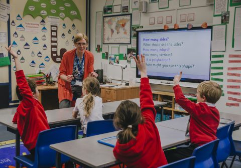 Analysis: Primary school offer day